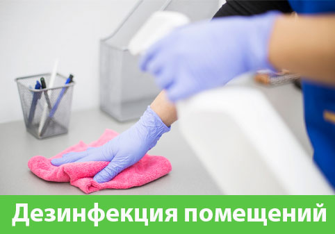 Дезинфекция помещений в городе Бердск
