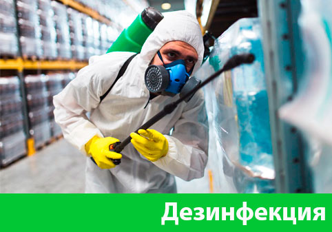 Дезинфекция в городе Бердск