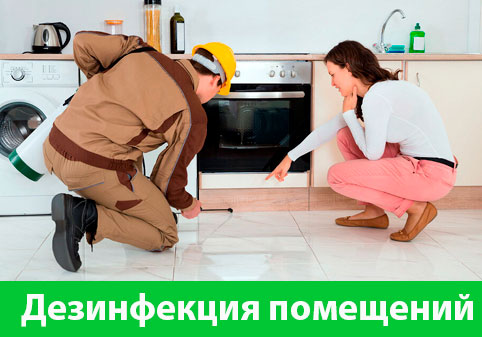 Дезинфекция офисов от коронавируса в городе Бердск
