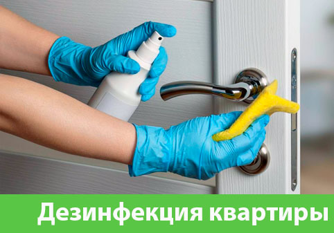 Дезинфекция квартиры в городе Бердск