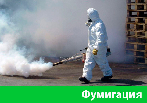 Фумигация в городе Бердск