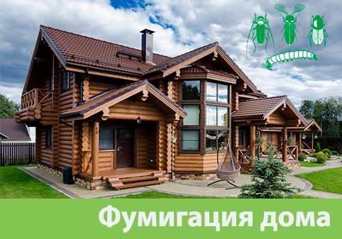 Преимущества обработки газом в городе Бердск