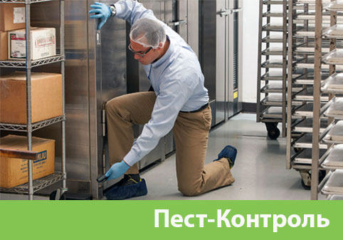 Пэст-Контроль в городе Бердск