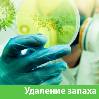 Удаление запахов в Бердске