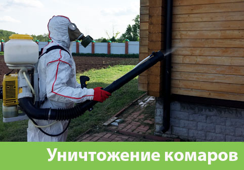 Уничтожение комаров в городе Бердск