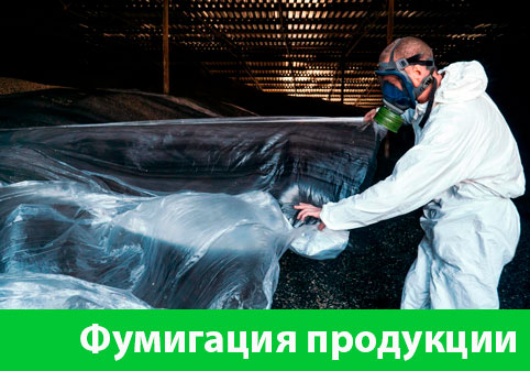 Фумигация продукции в городе Бердск